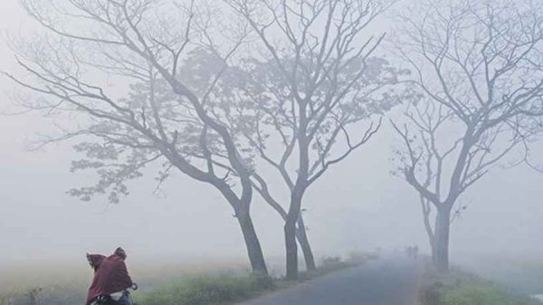 পঞ্চগড়ে হিমেল বাতাসে শীতের তীব্রতা বেড়েছে