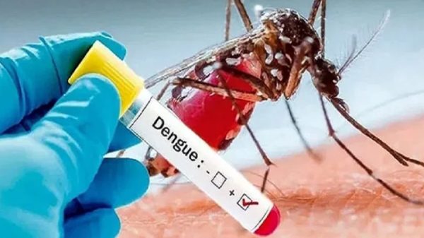 ডেঙ্গুতে ২৪ ঘণ্টায় মৃত্যু ৫, হাসপাতালে ভর্তি ১,১৩৯